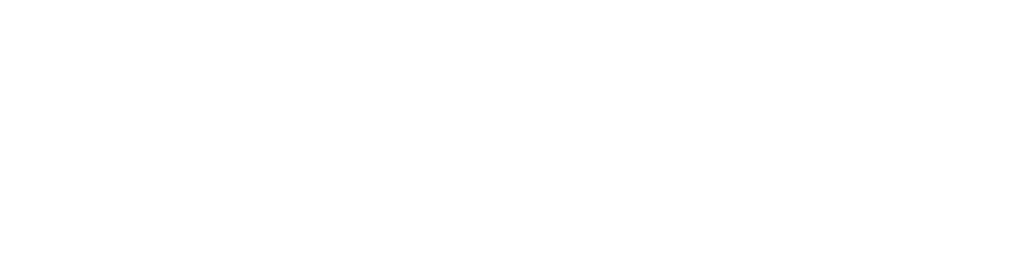 ronesans-holding-logo
